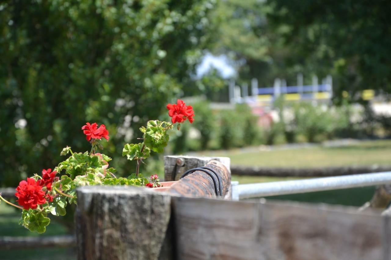 Gite Au Haras Les Aubiers Exterior foto