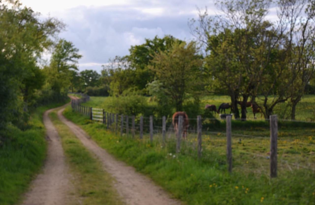 Gite Au Haras Les Aubiers Exterior foto