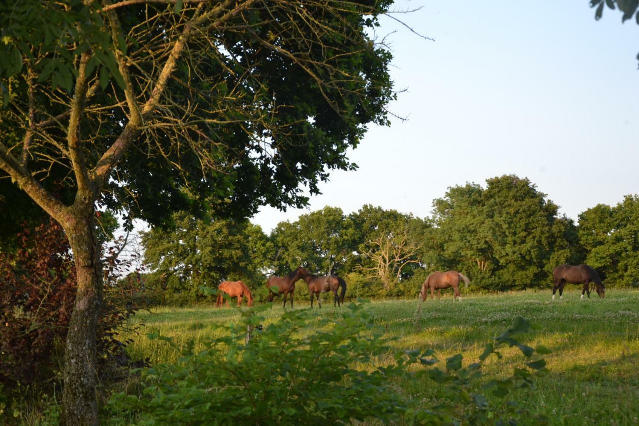 Gite Au Haras Les Aubiers Exterior foto